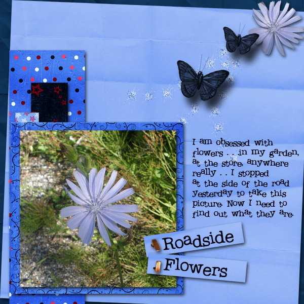 Roadside Flowers