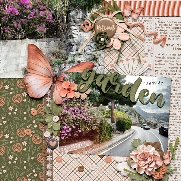 Roadside Garden