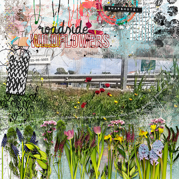 Roadside wildflowers