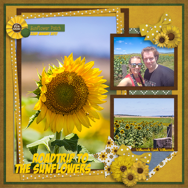 Roadtrip to the sunflowers