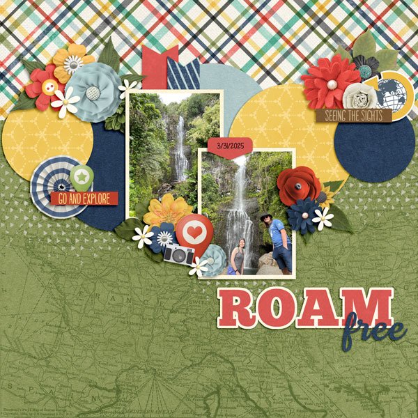 Roam-Free