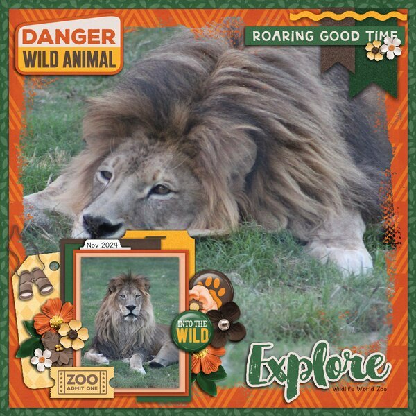 Roaring Good Time