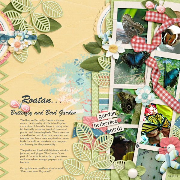 Roatan Butterflies and Bird Garden_L