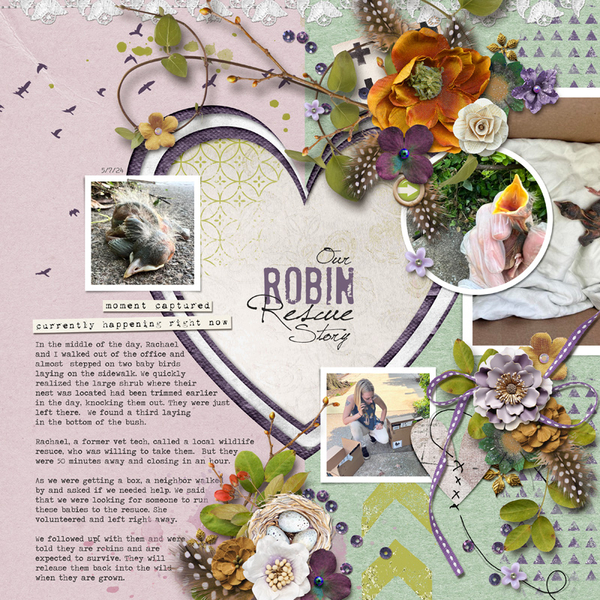 Robin Rescue