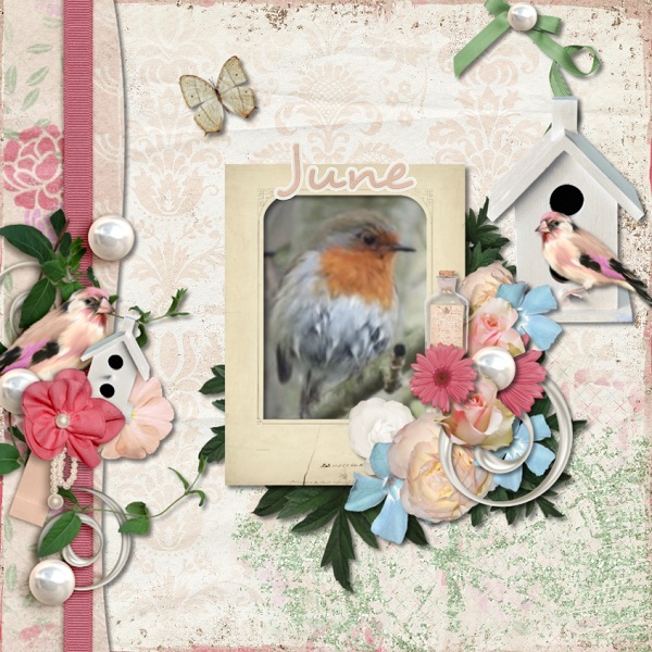 Robin