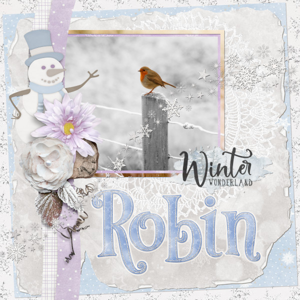 Robin