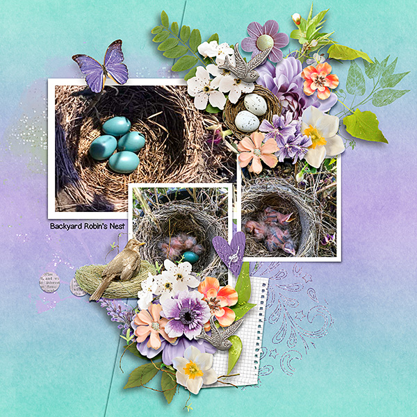 Robins-Nest