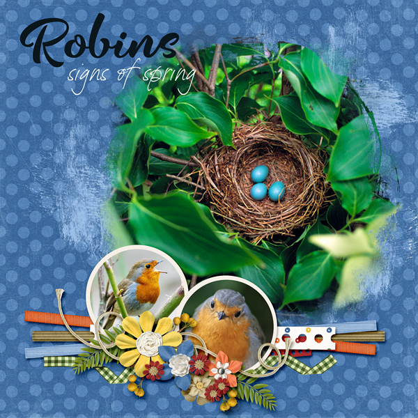 Robins
