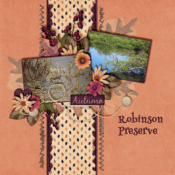 Robinson Preserve
