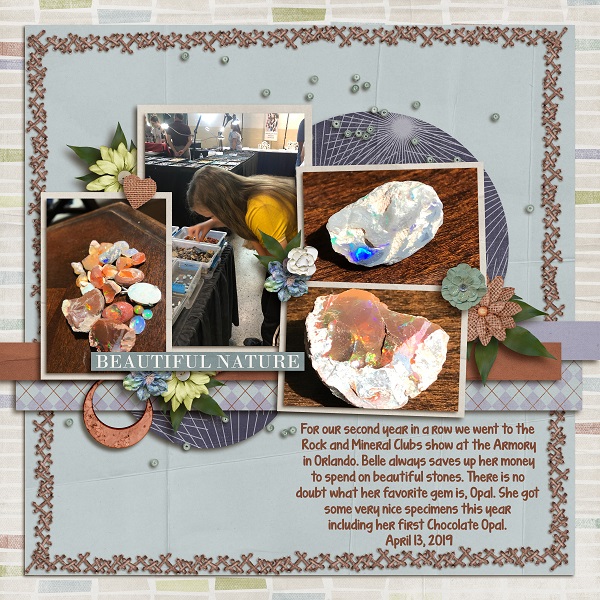 Rock and Mineral Show 19