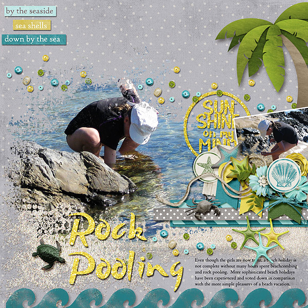 Rock Pooling