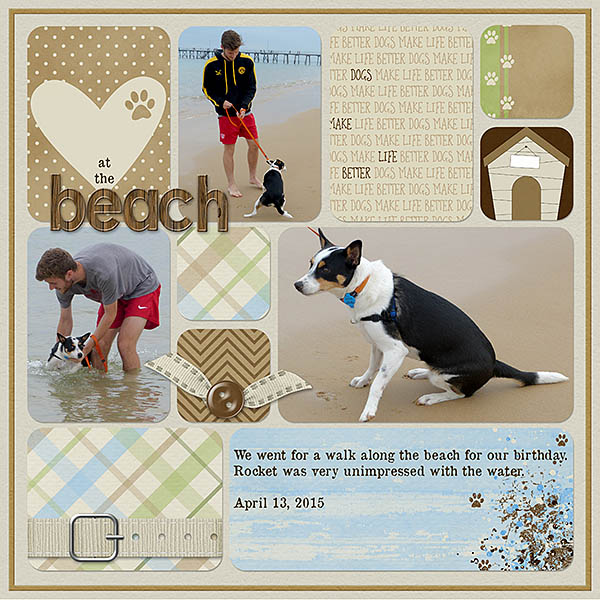 Rocket at the Beach