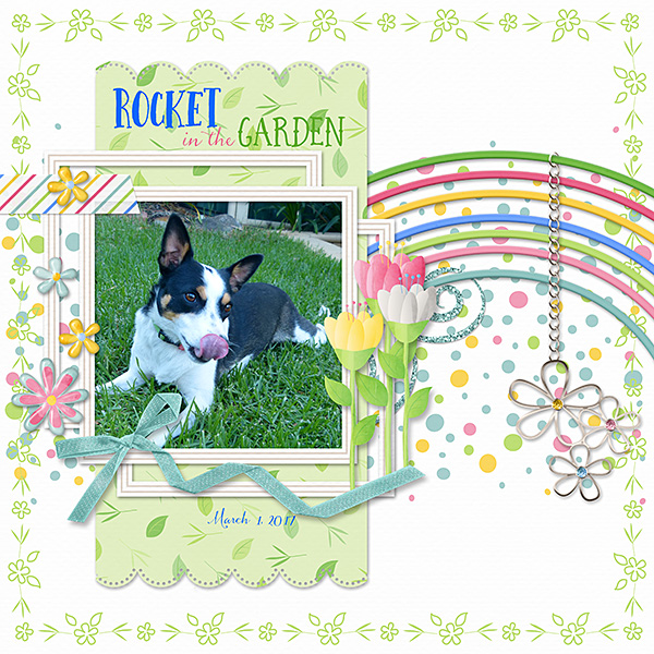 Rocket in the Garden