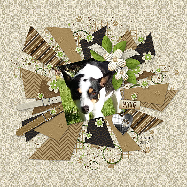 Rocket in the Garden