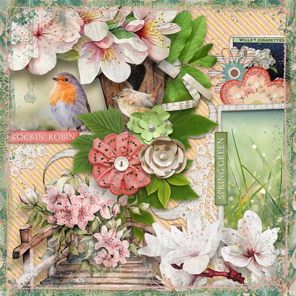 Rockin Robin, Spring Green