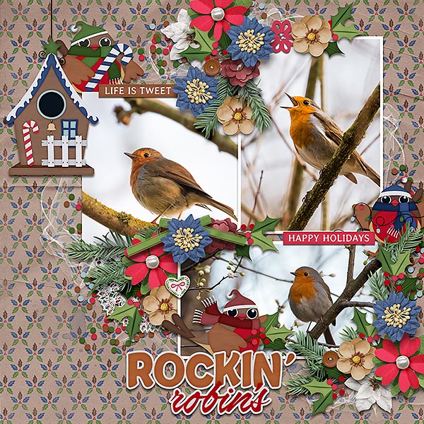 rockin robins