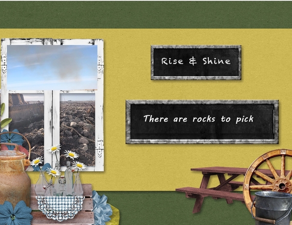 rocks to pick