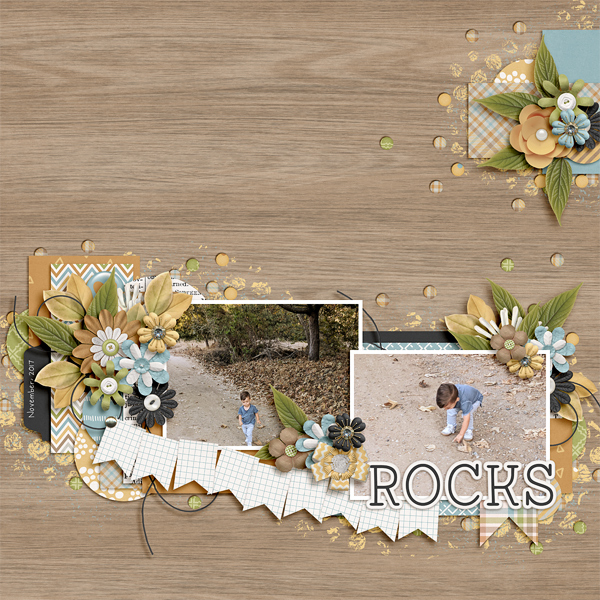 Rocks