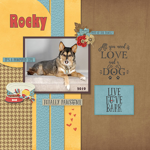 Rocky 2019