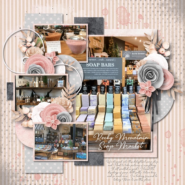 Rocky Mountain Soap Market