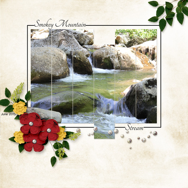 Rocky Mountain Stream