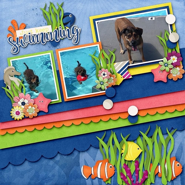 Rocky the Fish