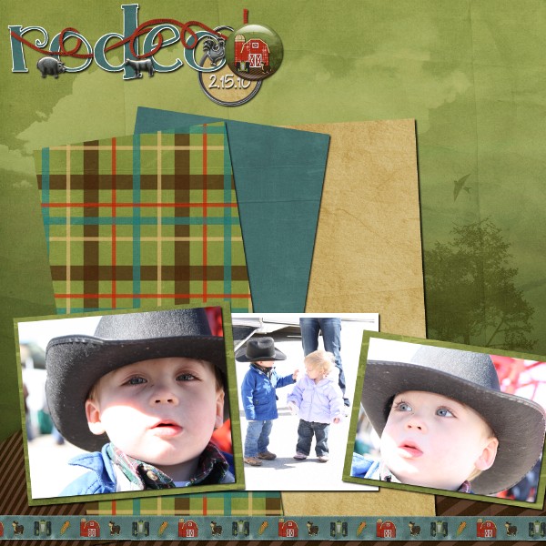 Rodeo Cowboy