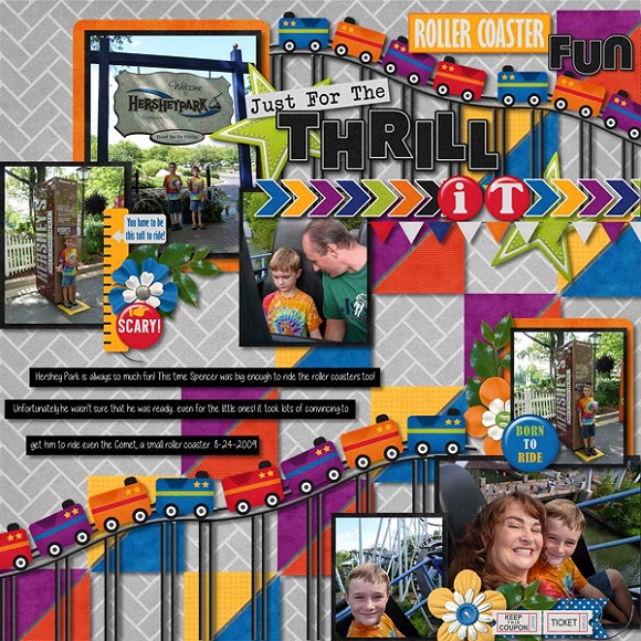 Roller Coaster Fun