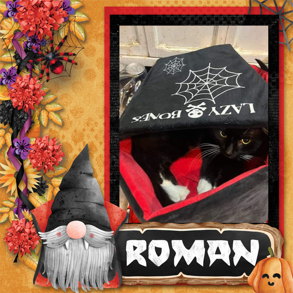 Roman