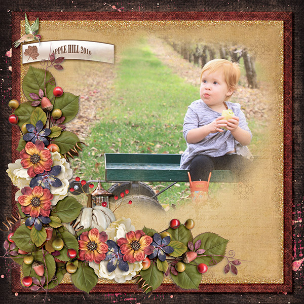 Romi-Apple Hill