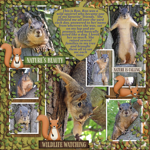 Roo the squirrel