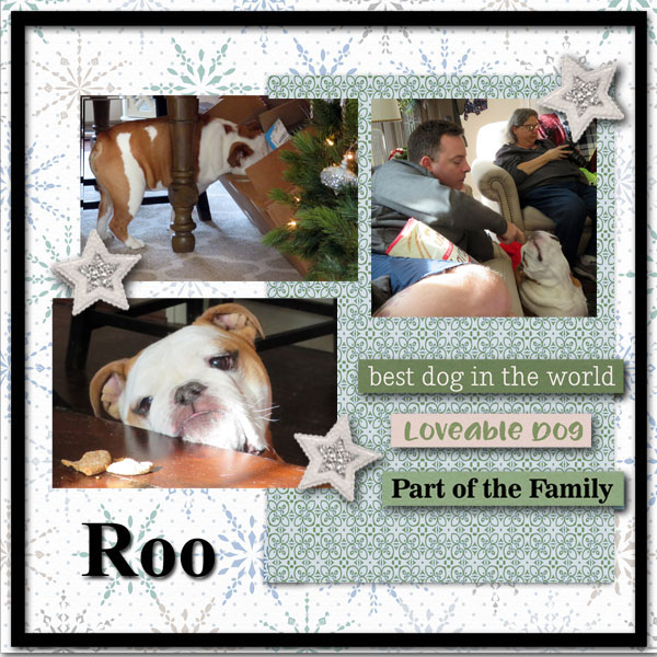 Roo