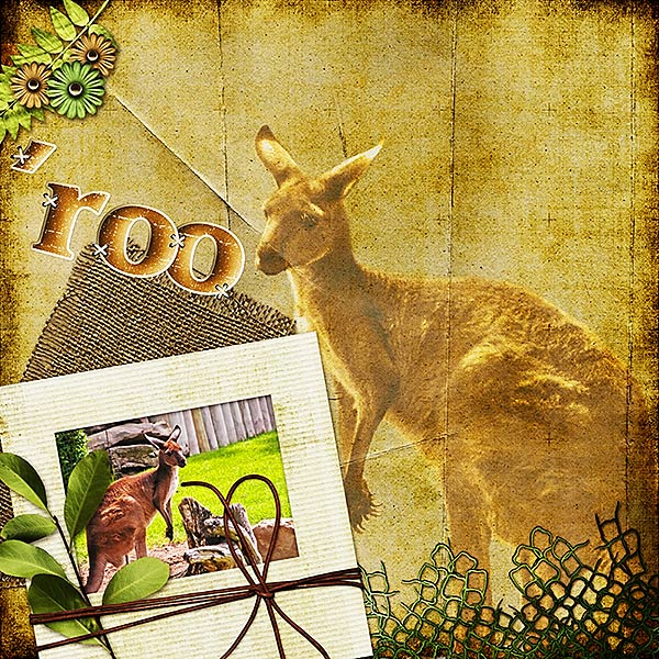 'roo