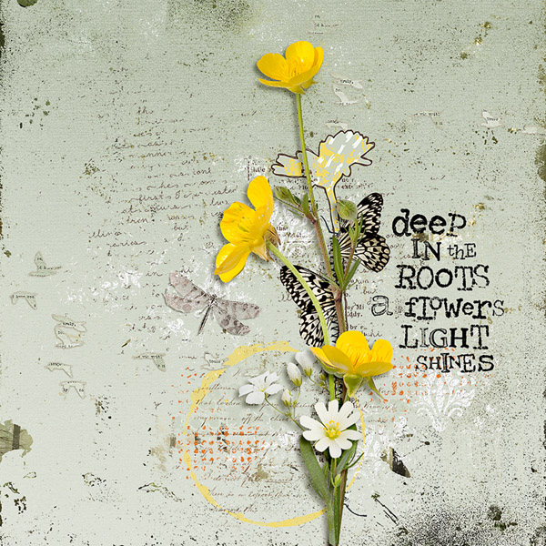 Roots