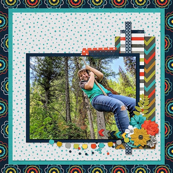 Rope Swing