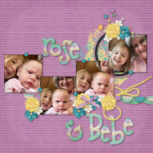 Rose + Bebe