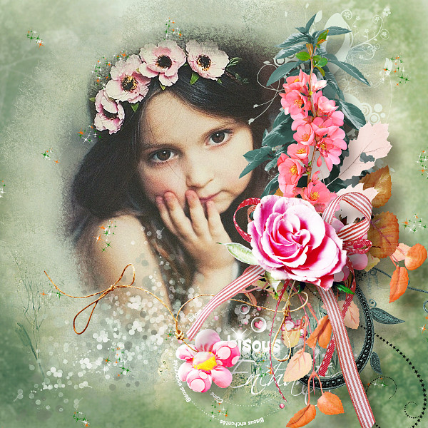 Rose Enchantee