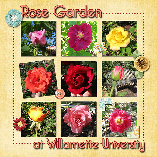 Rose Garden