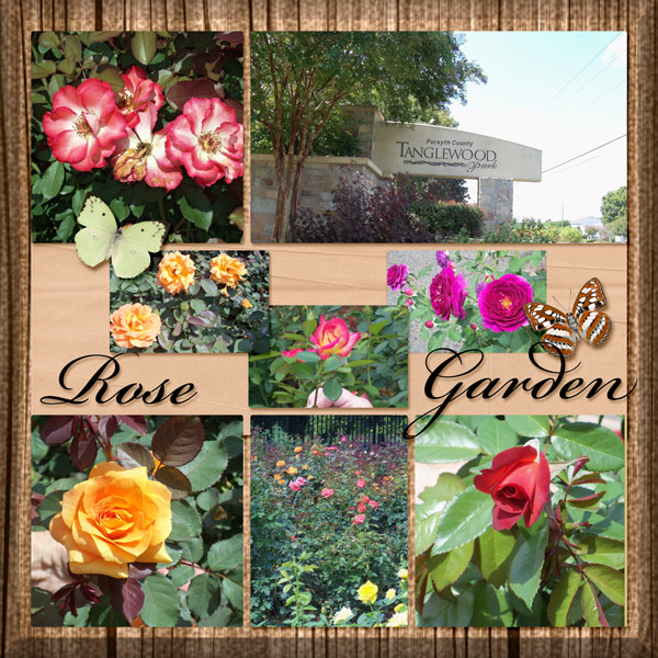 Rose Garden