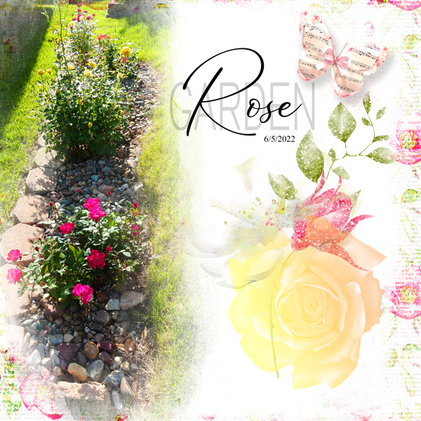 Rose Garden