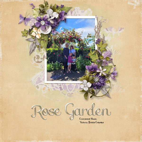 Rose garden