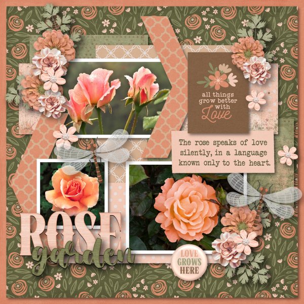 rose garden
