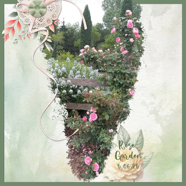 Rose Garden