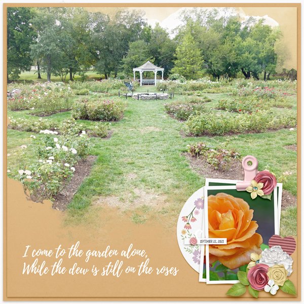 Rose Garden