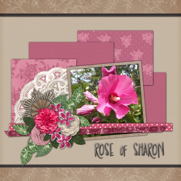 Rose of Sharon