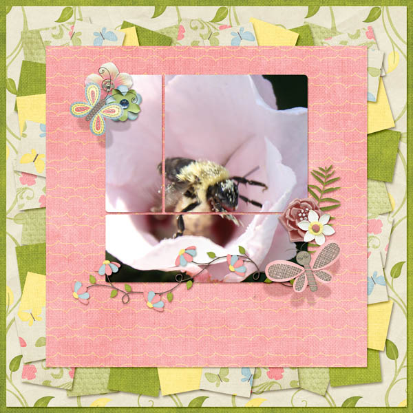 Rose of Sharon