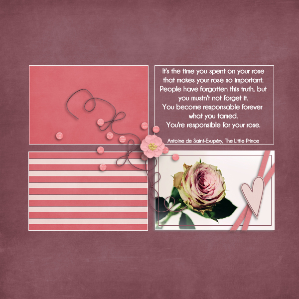 rose