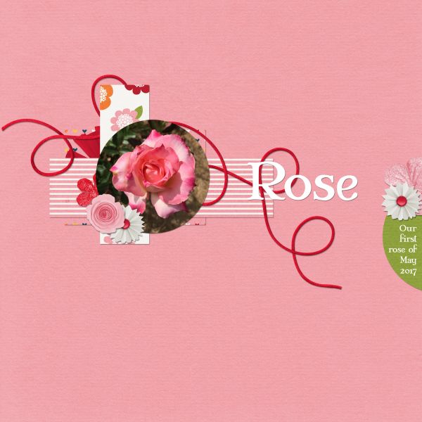 Rose