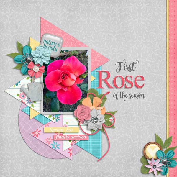 rose