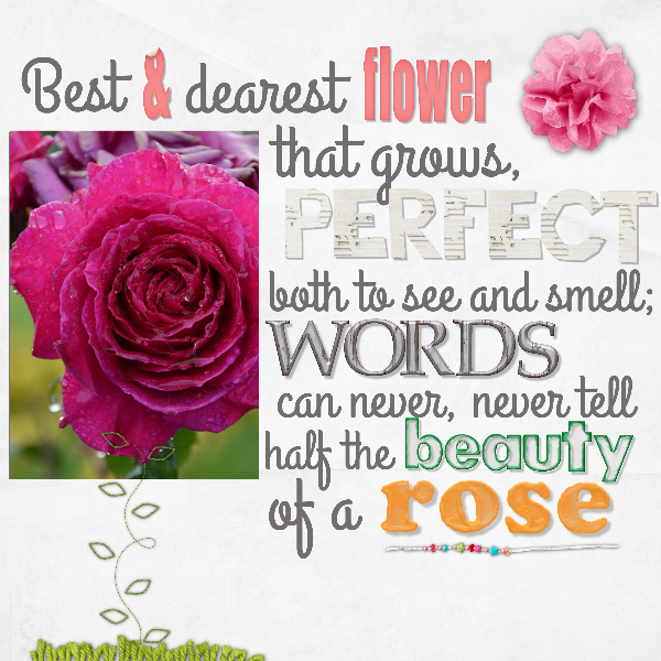Rose